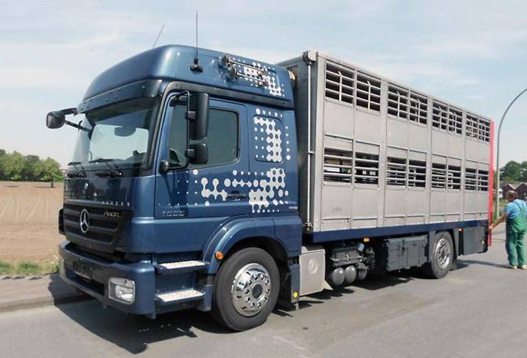 Прицеп для перевозки крупного рогатого скота из Эстония, Таллинн в Россия, Казань