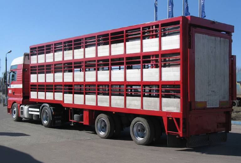 Прицеп для перевозки крупного рогатого скота из Кимовска в Воскресенск
